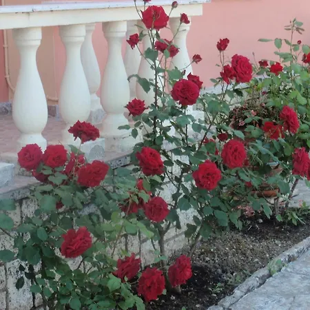 Argo Hotel Perama (Corfu)