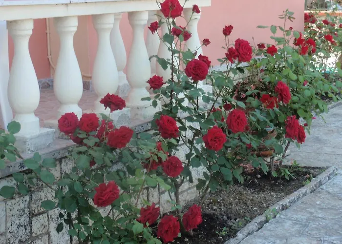 Argo Hotel Perama (Corfu)